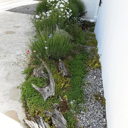Holiday home Etchechoury Moncayolle-Larrory-Mendibieu